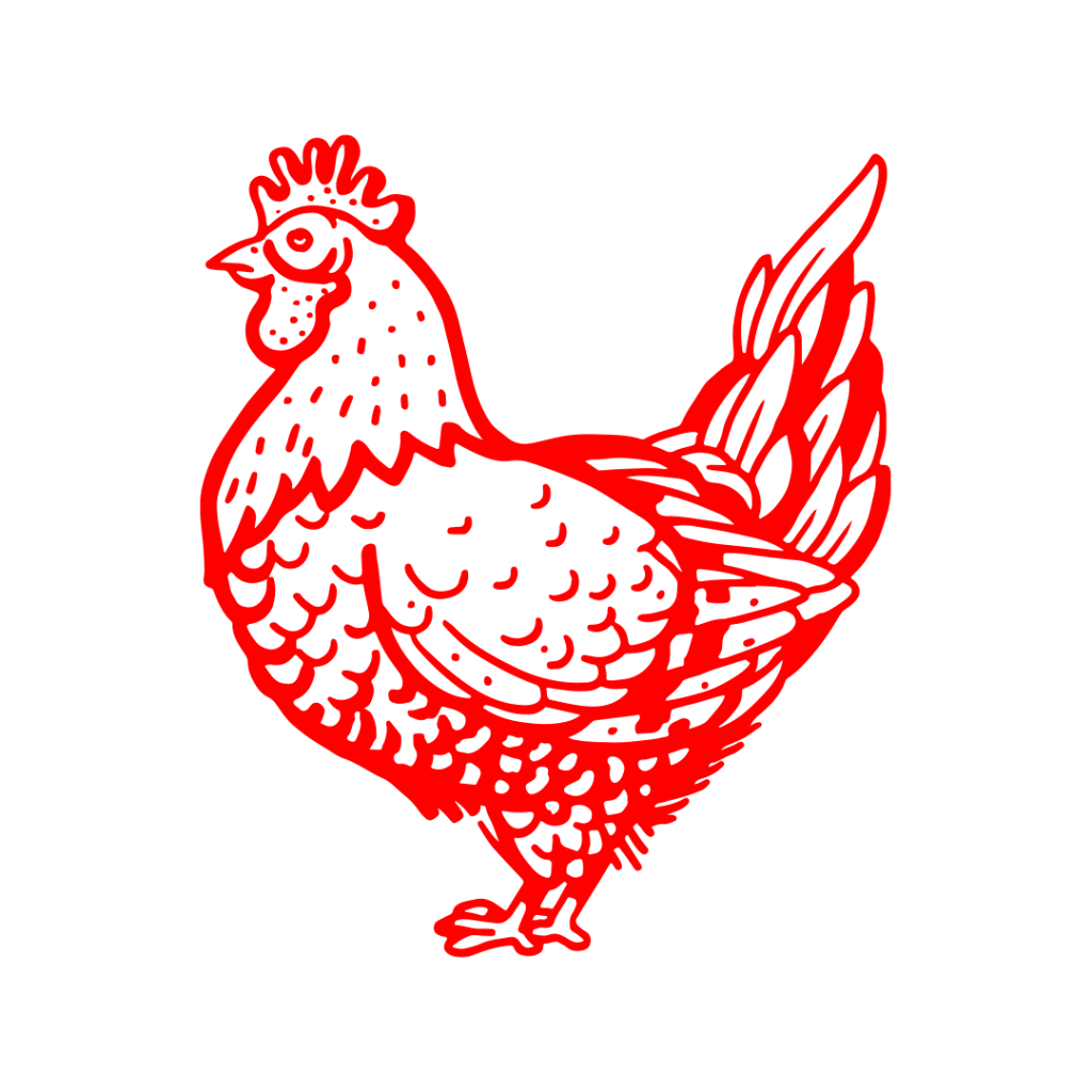 Un poulet